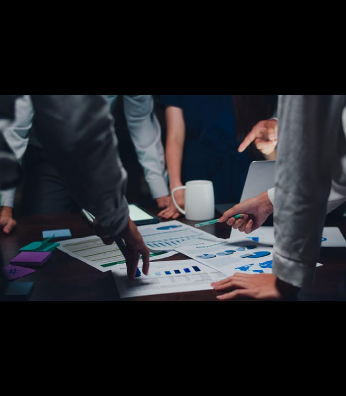 Project Consultation