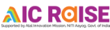 AIC RAISE Logo